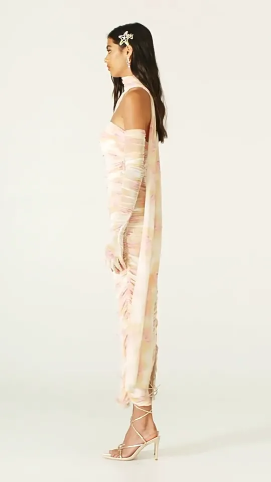 Long Sleeve Gloves Off Shoulder Printed Mesh Ribbon Dress