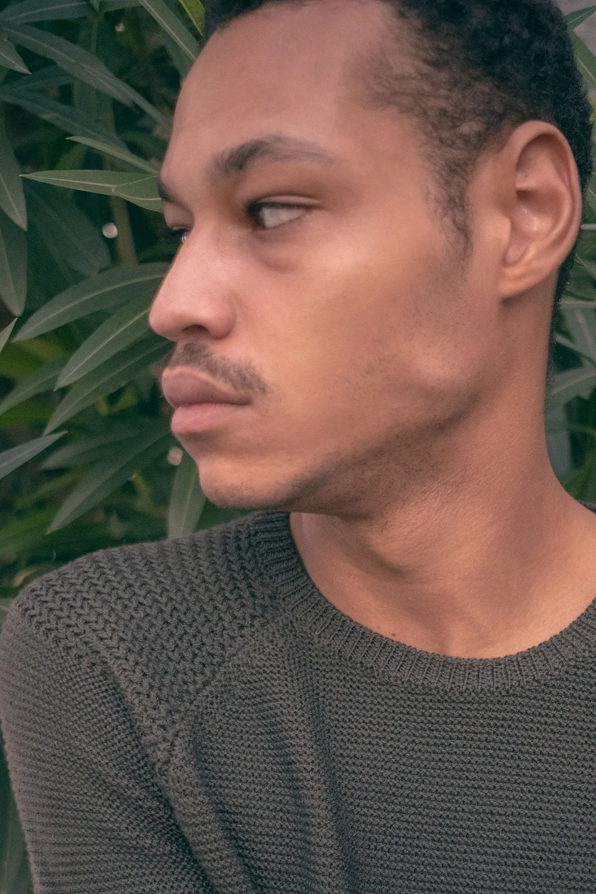 Merino Wool Sweater Olive
