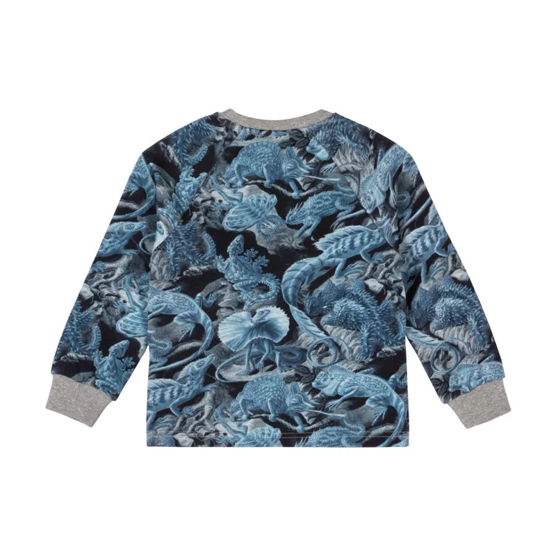 paper wings raglan sweater - full house